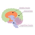 The Triune Brain